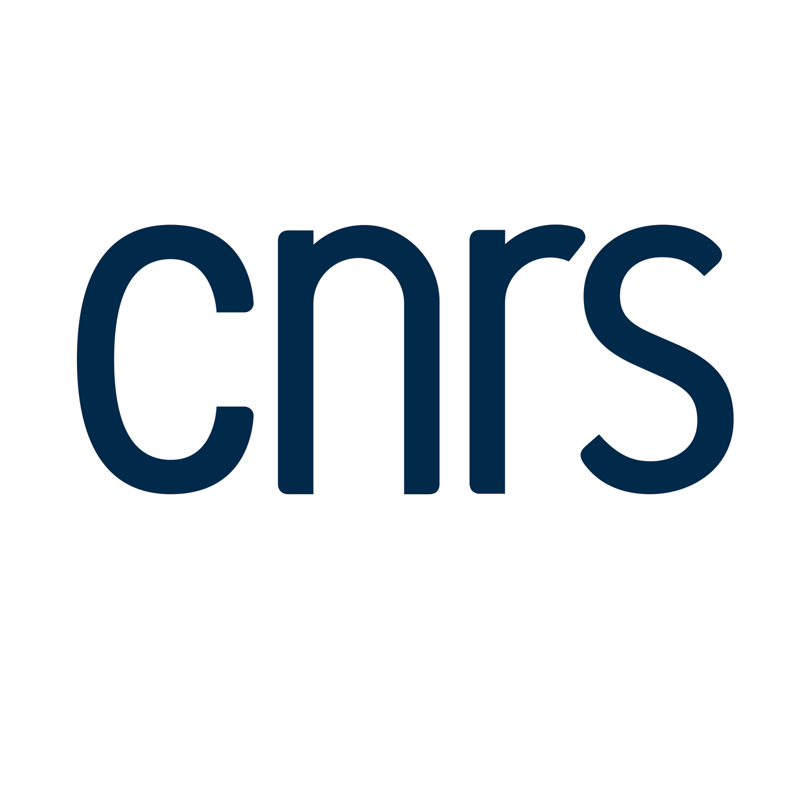 LOGO_CNRS_BLANC